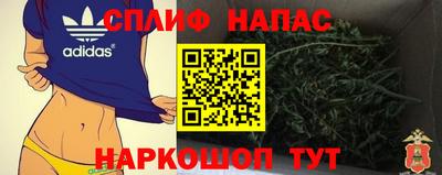 шишки Белореченск
