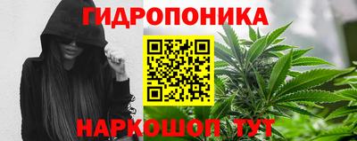 шишки Белореченск